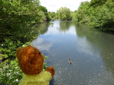 Kelsey Park