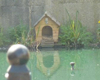 Duckhouse