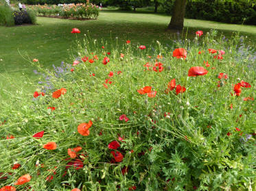 Morden Hall Park