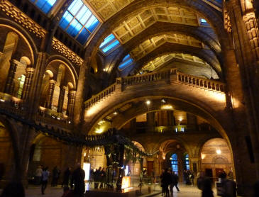 Natural History Museum