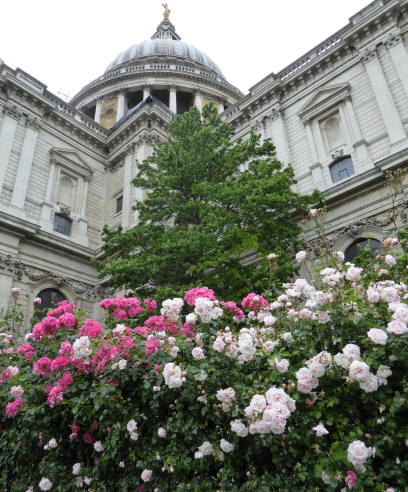 St Paul's Cathedral