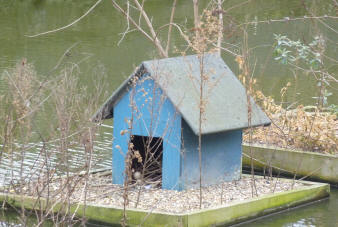 Floating duck house