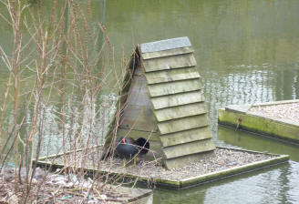 Floating duck house