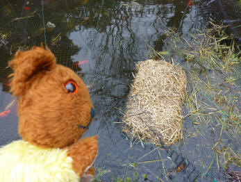 Straw raft in fishpond