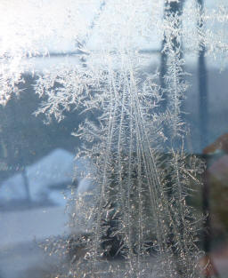 Ice flowers