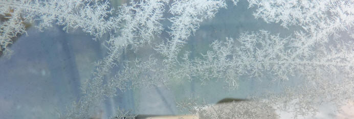 Ice flowers