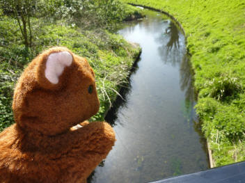 Upriver from bridge