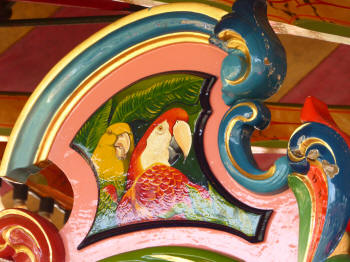 Carter's steam fair paintings of parrots