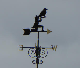 Bird on windvane