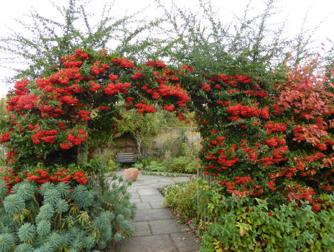 Hall Place berries