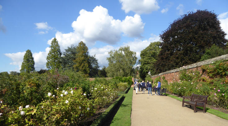 Walled rose garden