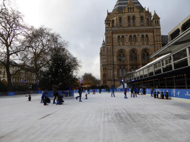 Natural History Museum skating