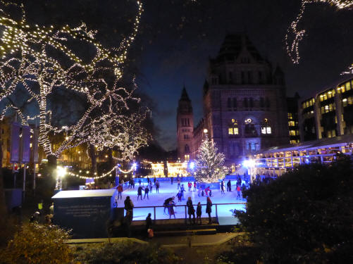 Natural History Museum skating