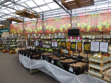 Garden centre bulb section