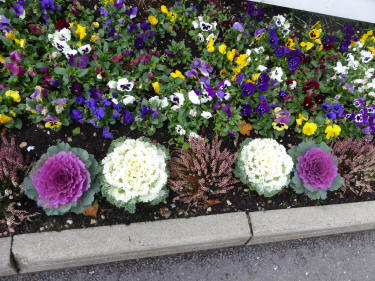 Flower bed