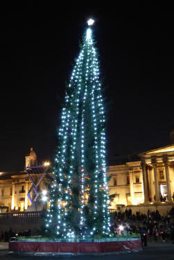 Trafalgar Square Christmas tree