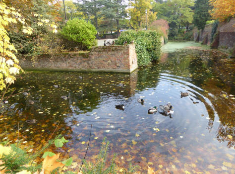 Well Hall Pleasaunce moat