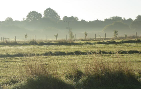 Misty fields