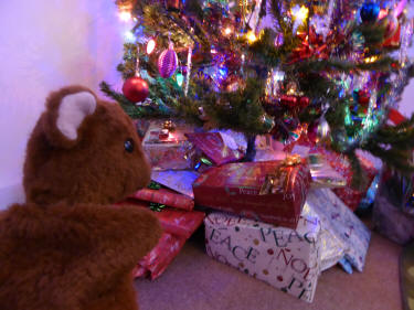 Presents under Christmas tree