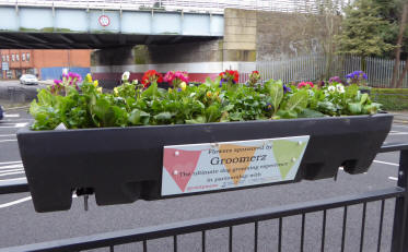 Pinner planter with flowers