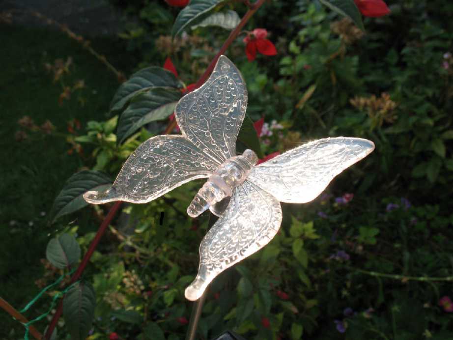 Solar powered butterfly light